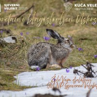 Sretan i blagoslovljen Uskrs